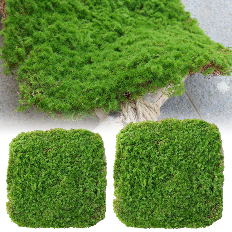 Skanto | Moss Dekorasjonselement – Moss Flak Ornament for Dekorasjon og Landskapspleie