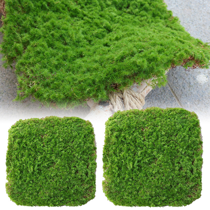 Skanto | Moss Dekorasjonselement – Moss Flak Ornament for Dekorasjon og Landskapspleie