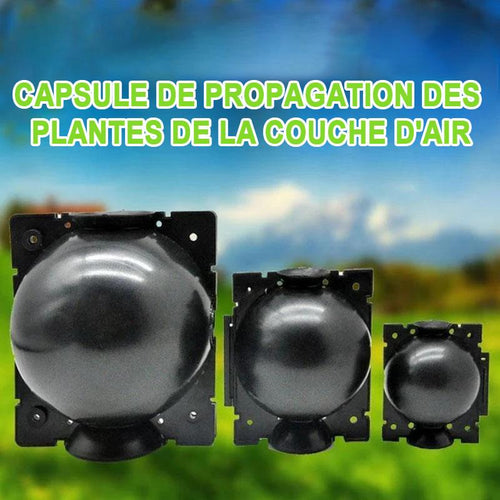 Air Layer Plant Propagation Capsule | Skanto