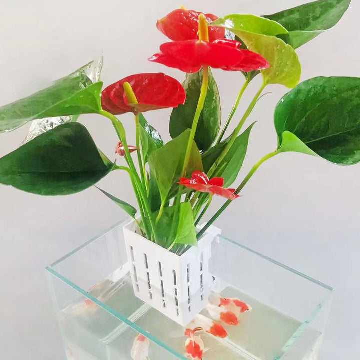 Skanto | Fisketank Hydroponisk Plantekurv