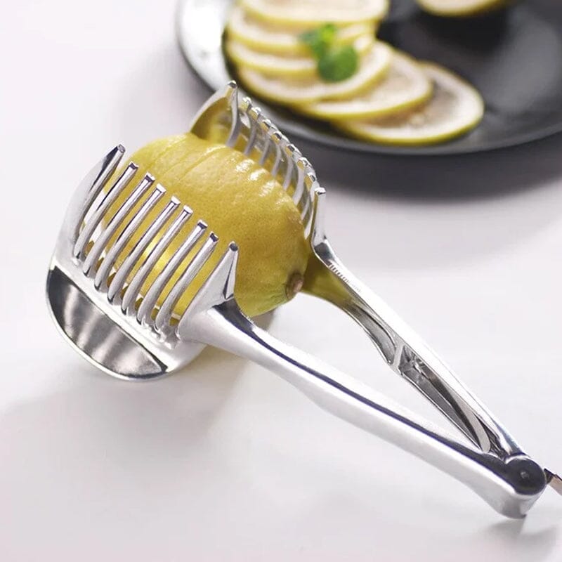 Rustfritt Stål Skiveholder | Skanto