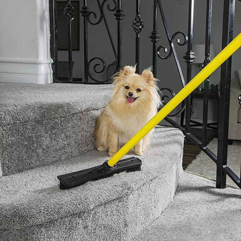 Pet Hair Removal Broom | Skanto