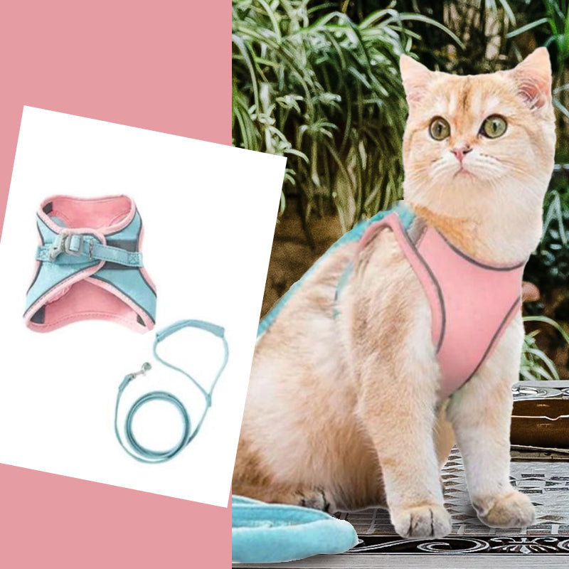 Skanto | Katt Vest Sel og Bånd Sett