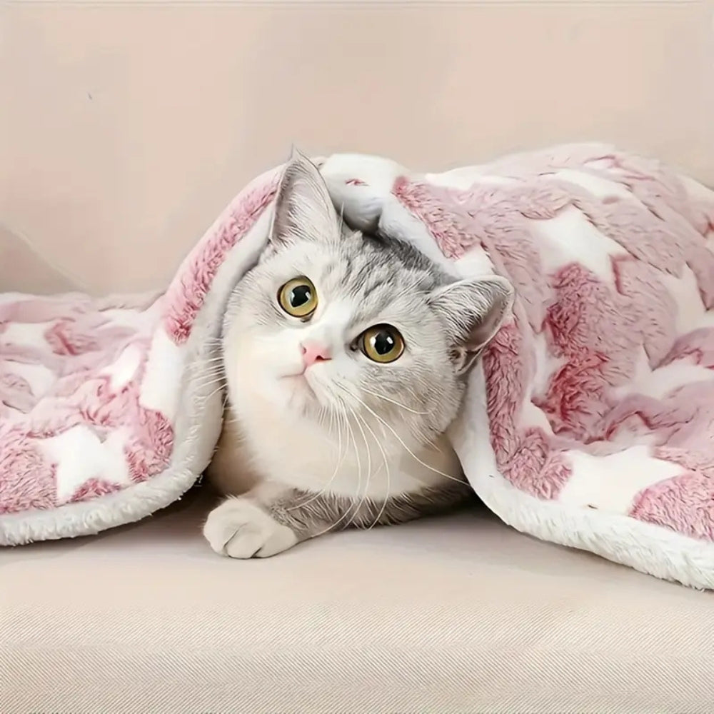 Skanto | Snuggly Star Ultra-Varm Katt- og Hundeseng