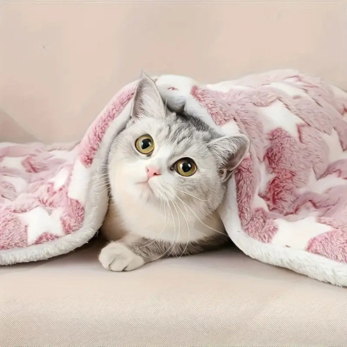 Skanto | Snuggly Star Ultra-Varm Katt- og Hundeseng