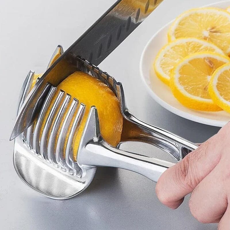 Rustfritt Stål Skiveholder | Skanto