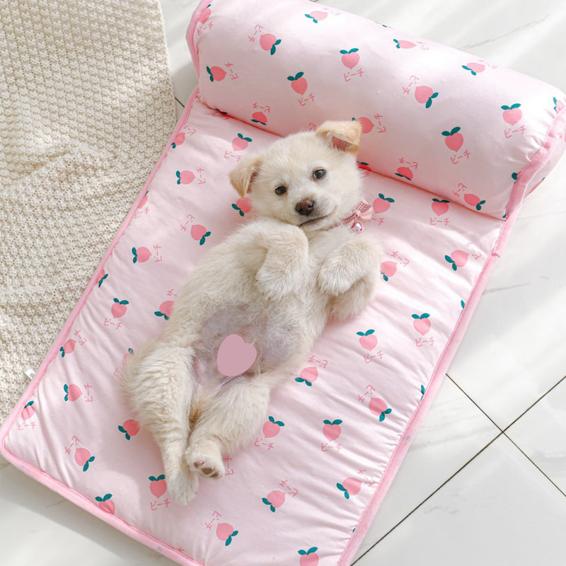 Ice Silk Cooling Mat for Dogs & Cats🐶 | Skanto