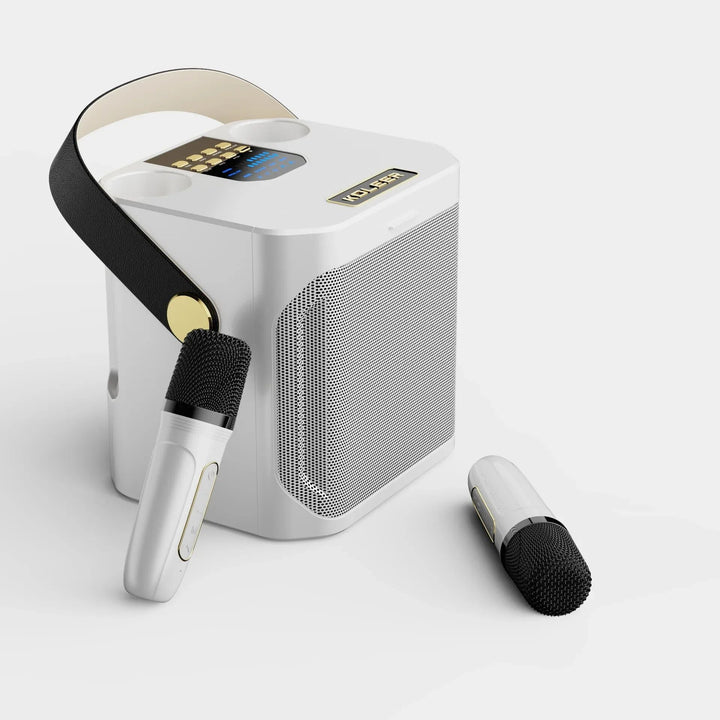 Skanto | Karaoke Bluetooth-høyttaler – 360° Surround Trådløs Subwoofer med Dual Mics