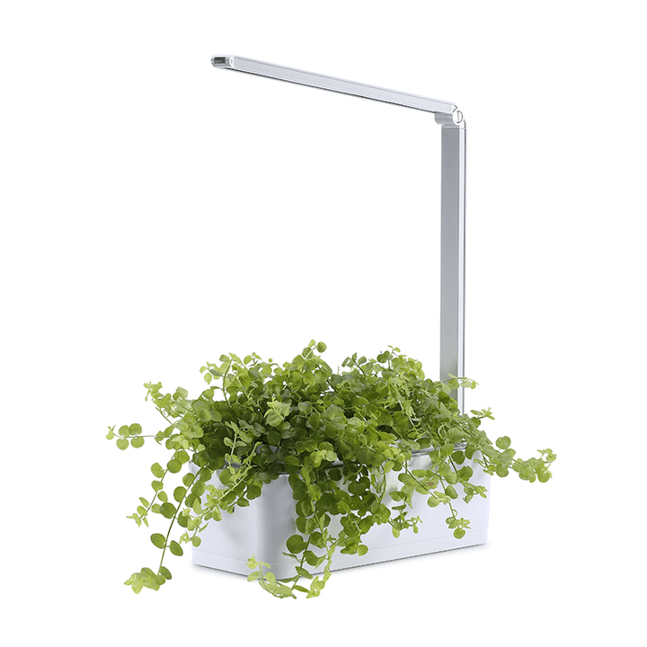 Skanto | Hydroponic systems with LED plant growth light, smart watering, water dry reminder and timer switch (with US standard plug, 110v~220v)