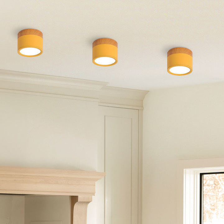 Skanto | Taklampe med rosa flush trefinish