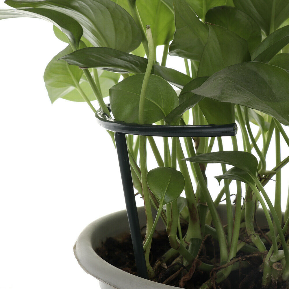 Skanto | Klatrestøtte for planter – Robust holder med burdesign for vekst og stabilitet