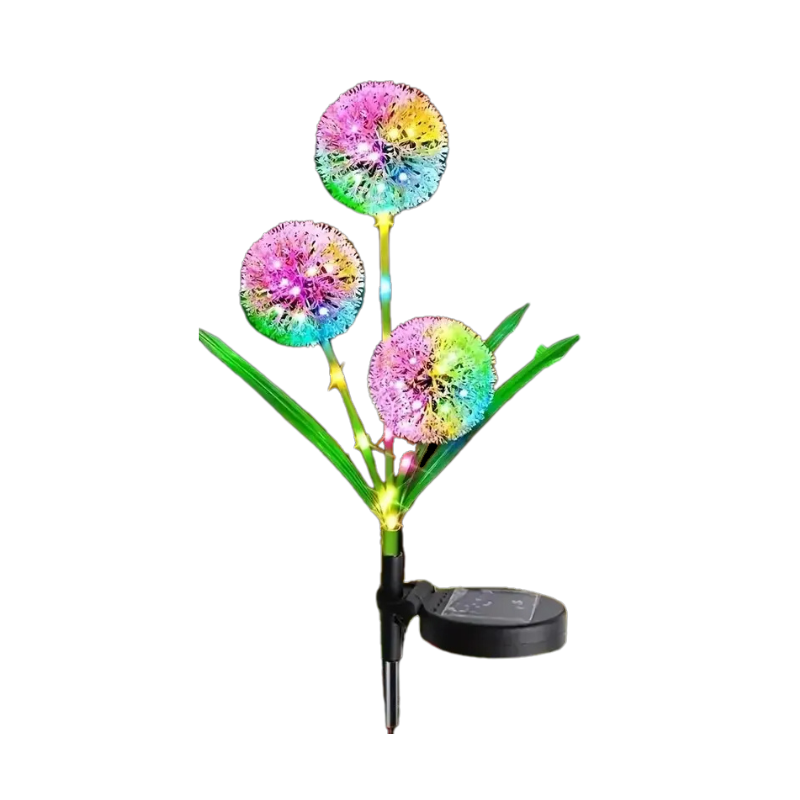 Skanto | GlowBloom