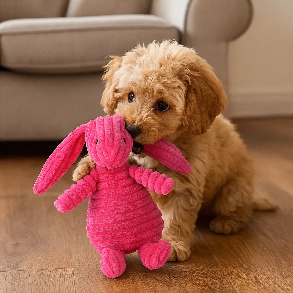 Skanto | Hundelek Plush Squeaky Chew Dyr