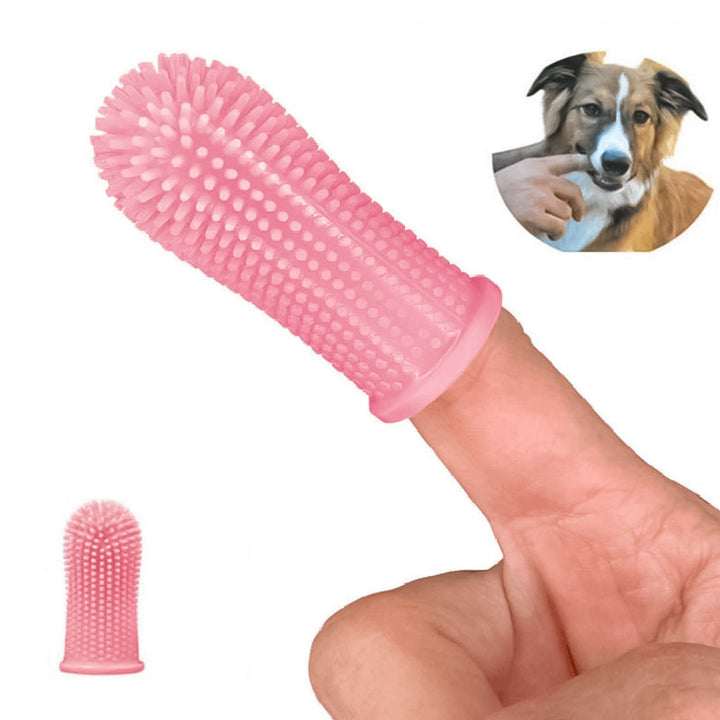 Skanto | Finger tenner for kjæledyr