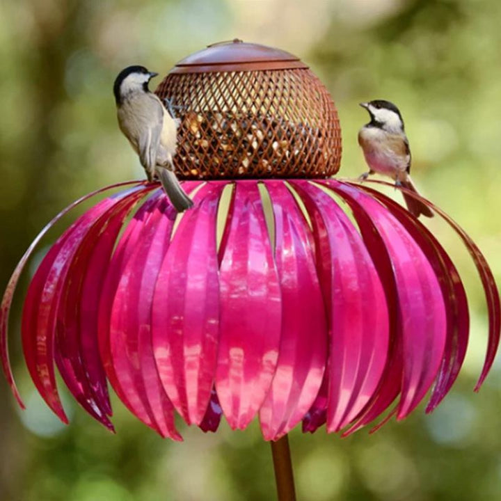 Bird Feeding Station D'éChinacéE | Skanto