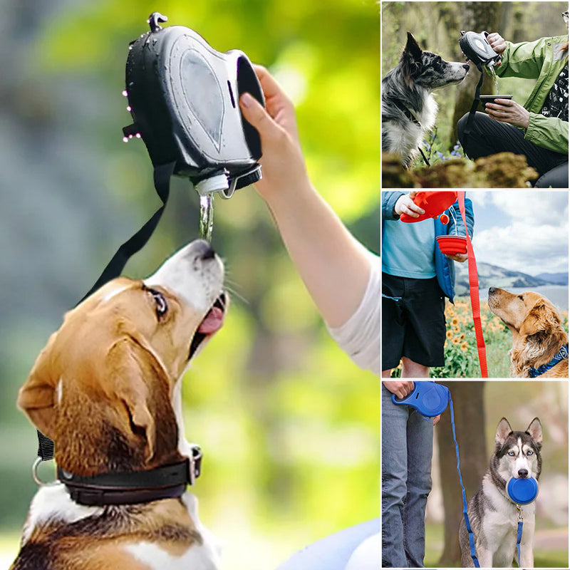 Skanto | 4 i 1 Hundekortlåser