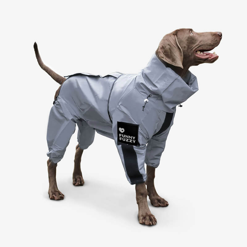 Skanto | Allvær Vanntett Kule Hundetilbehør Regnjakke