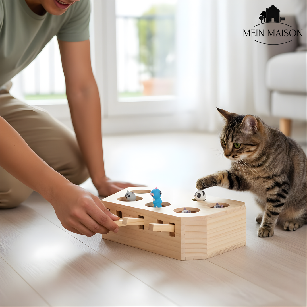 Skanto | PawFun Tre – Ubegrenset Moro for Fornøyde Katter