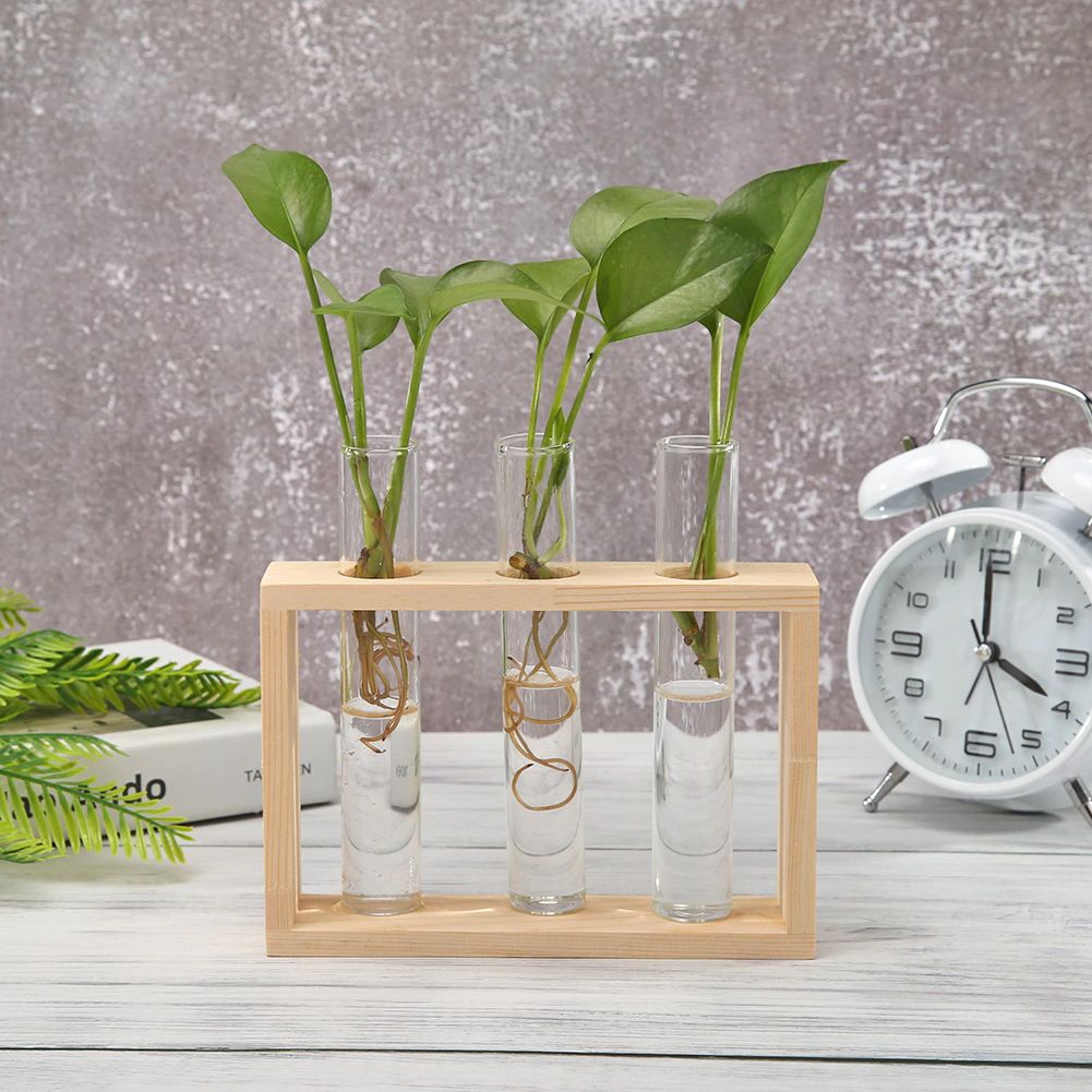Skanto | Test Tube Vase