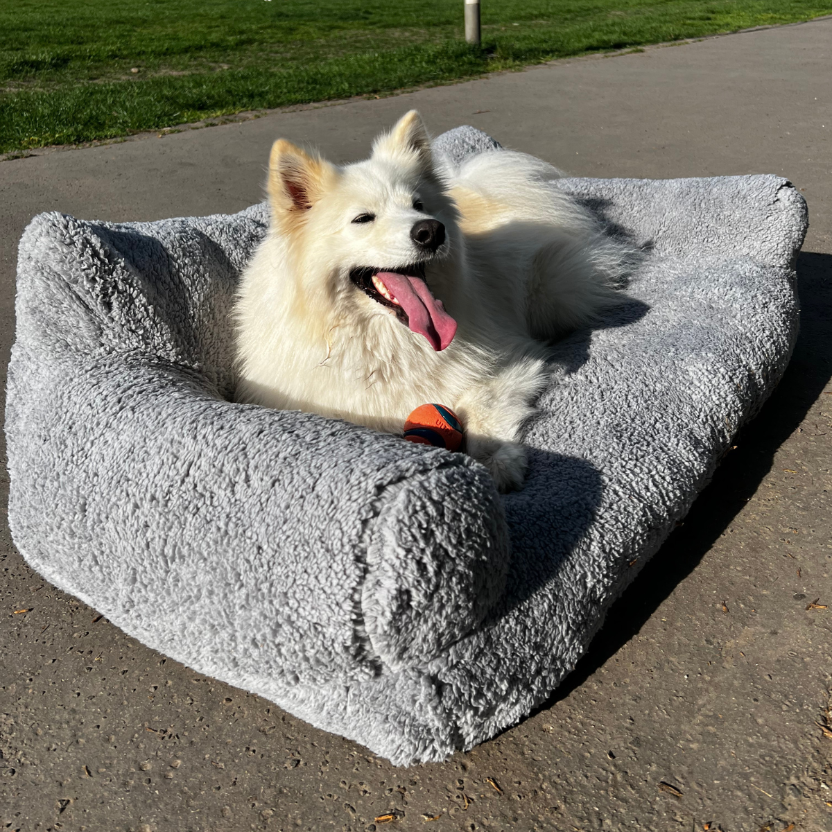 Norvo | Kjæledyr Sofa