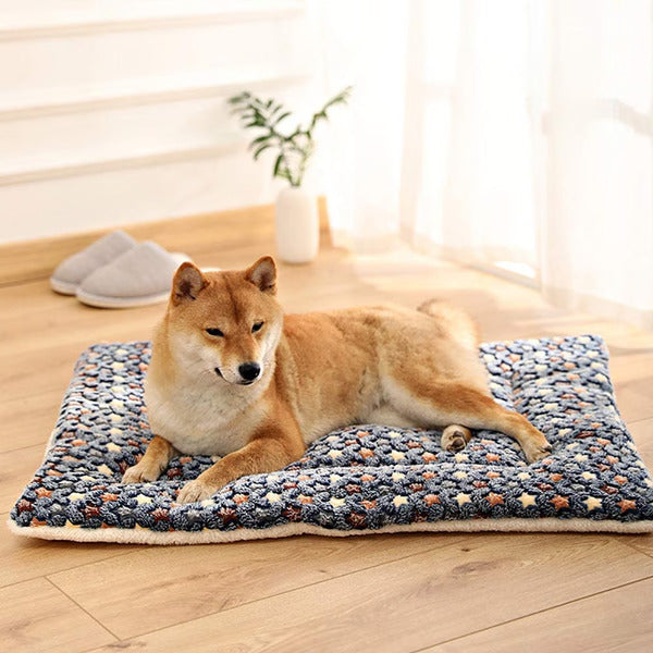 Skanto | Hundteppe Plush Vaskbart Kjæledyrpute