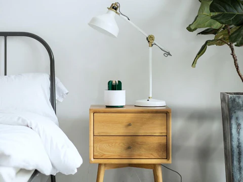 Skanto | Mygg Kaktus Lampe