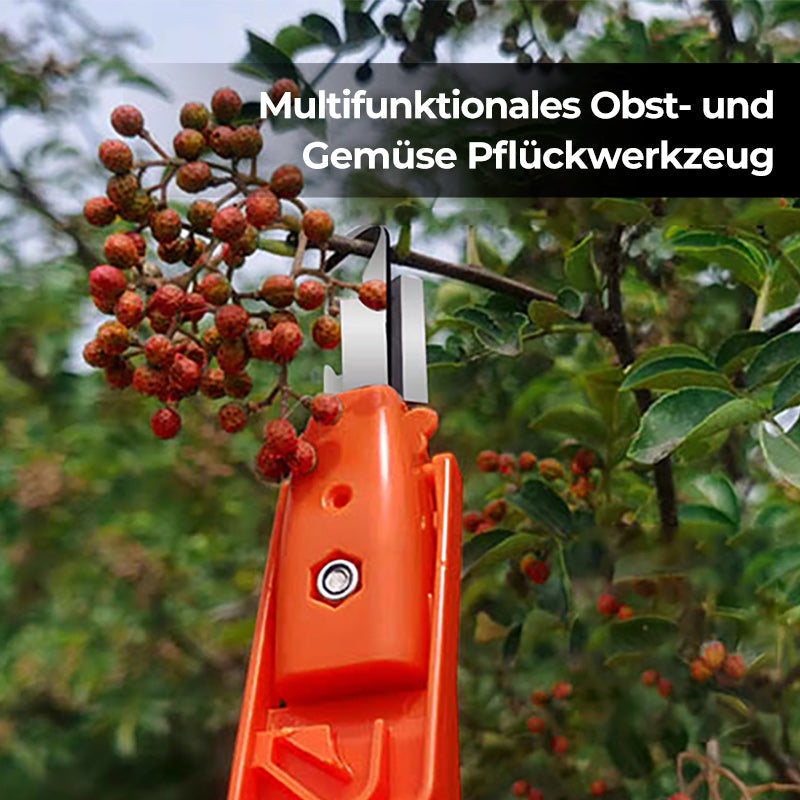 Effektive paprika plukking verktøy | Skanto