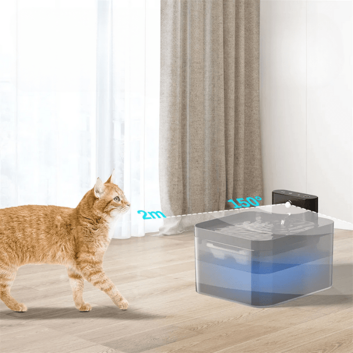 Skanto | Moderne vannfontene for katter med en trådløs sensor