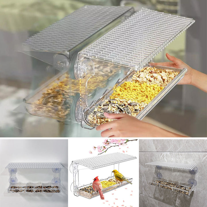 Skanto | Utendørs Clear-Window-Suction-Cup-Fuglekasse