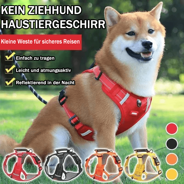 Skanto | Ingen Trekking Hundesele for Kjæledyr