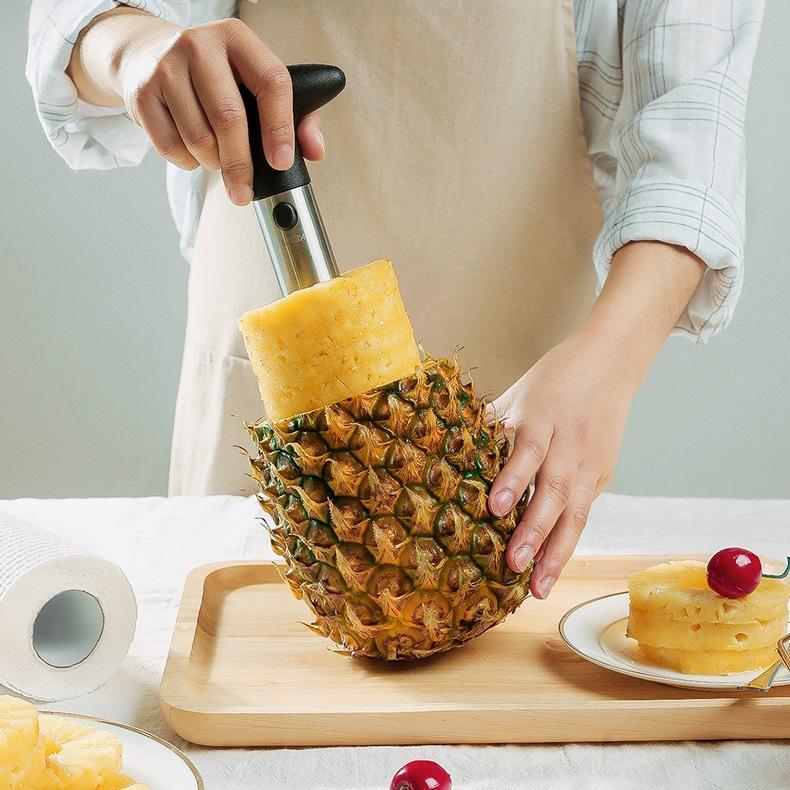 Kreativ Ananas Utsteker | Skanto