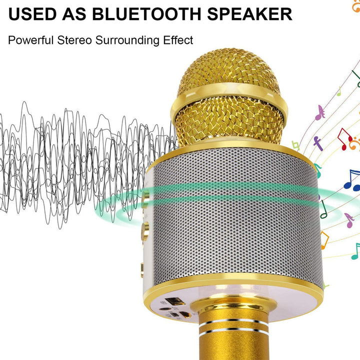 Skanto | Oppladbar trådløs Bluetooth karaoke-mikrofon