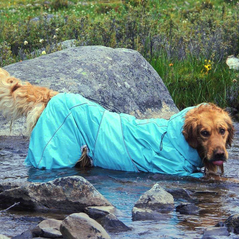 Norvo | Hund Utendørs Jakke Vanntett Justerbar Hund Regnfrakk