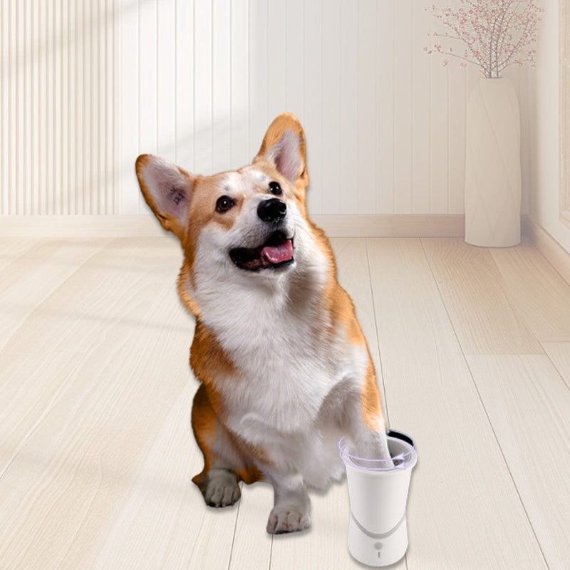 Skanto | PawPerfection — Rene poter, stressfrie turer fulle av gode øyeblikk