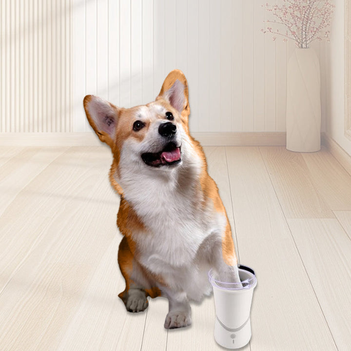 Skanto | PawPerfection — Rene poter, stressfrie turer fulle av gode øyeblikk