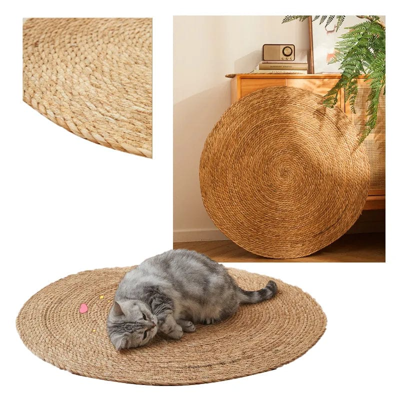Skanto | KrazeLuxe Matt — Endelig fred fra kløe-kaos og den favorittplassen for katten din
