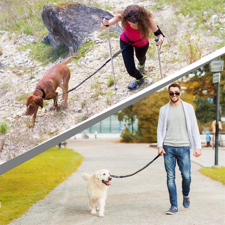 Skanto | Hands Free Dog Leash Set For Running