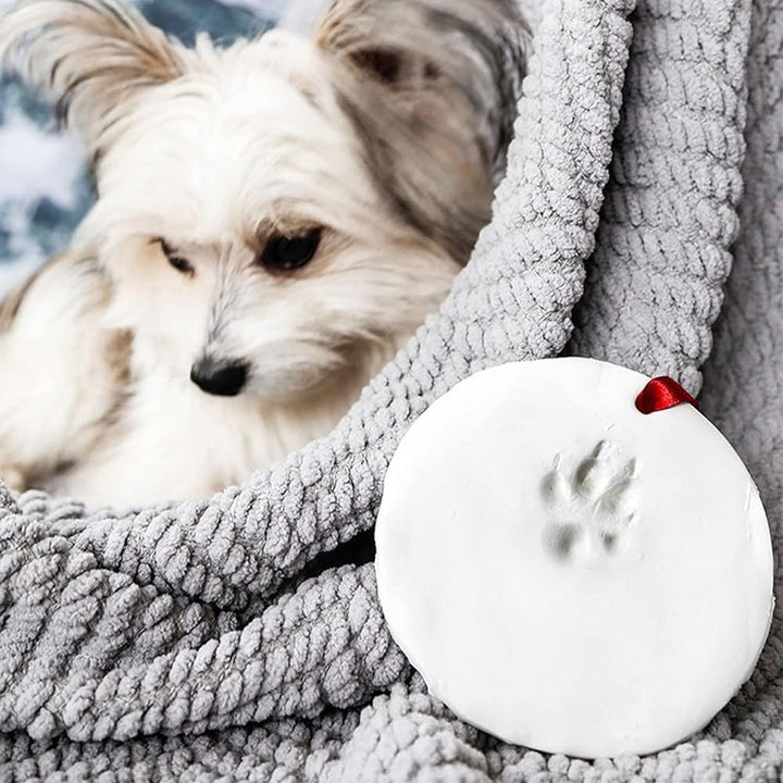 Skanto | Clay Pet Paw Impression Moulding Kit