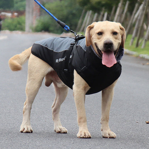 Skanto | Vanntette vinter hundejakker