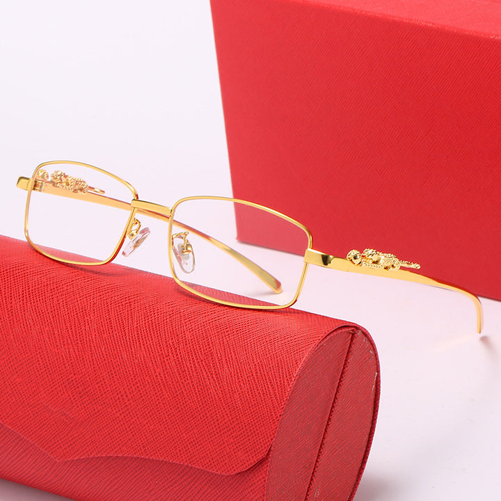 Dame modische Korrektionsbrille mit feinen Verzierungen Skanto