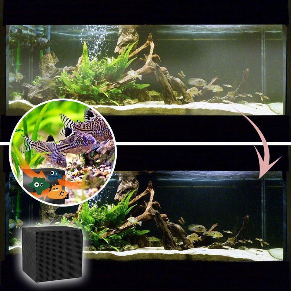 Skanto | Eco-Aquarium Vannrenser Kubus