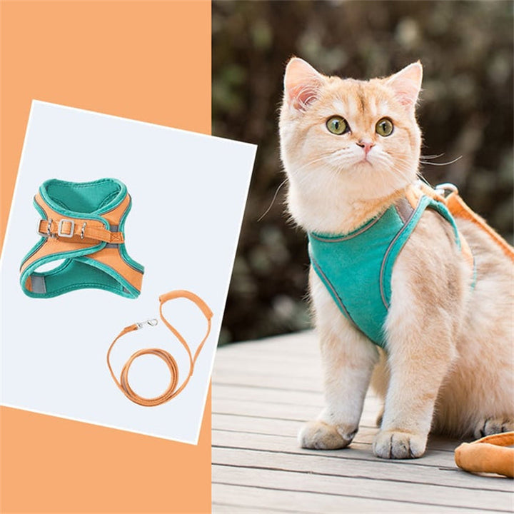Skanto | Katt Vest Sel og Bånd Sett