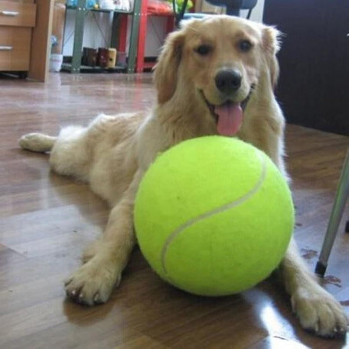 Giant Dog Tennis Ball Toy | Skanto