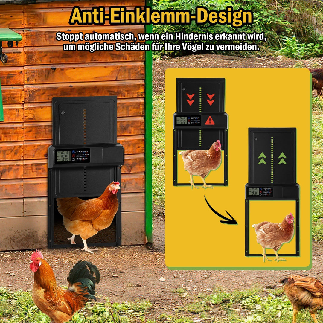 Kylling klaff automatisk timer | Skanto