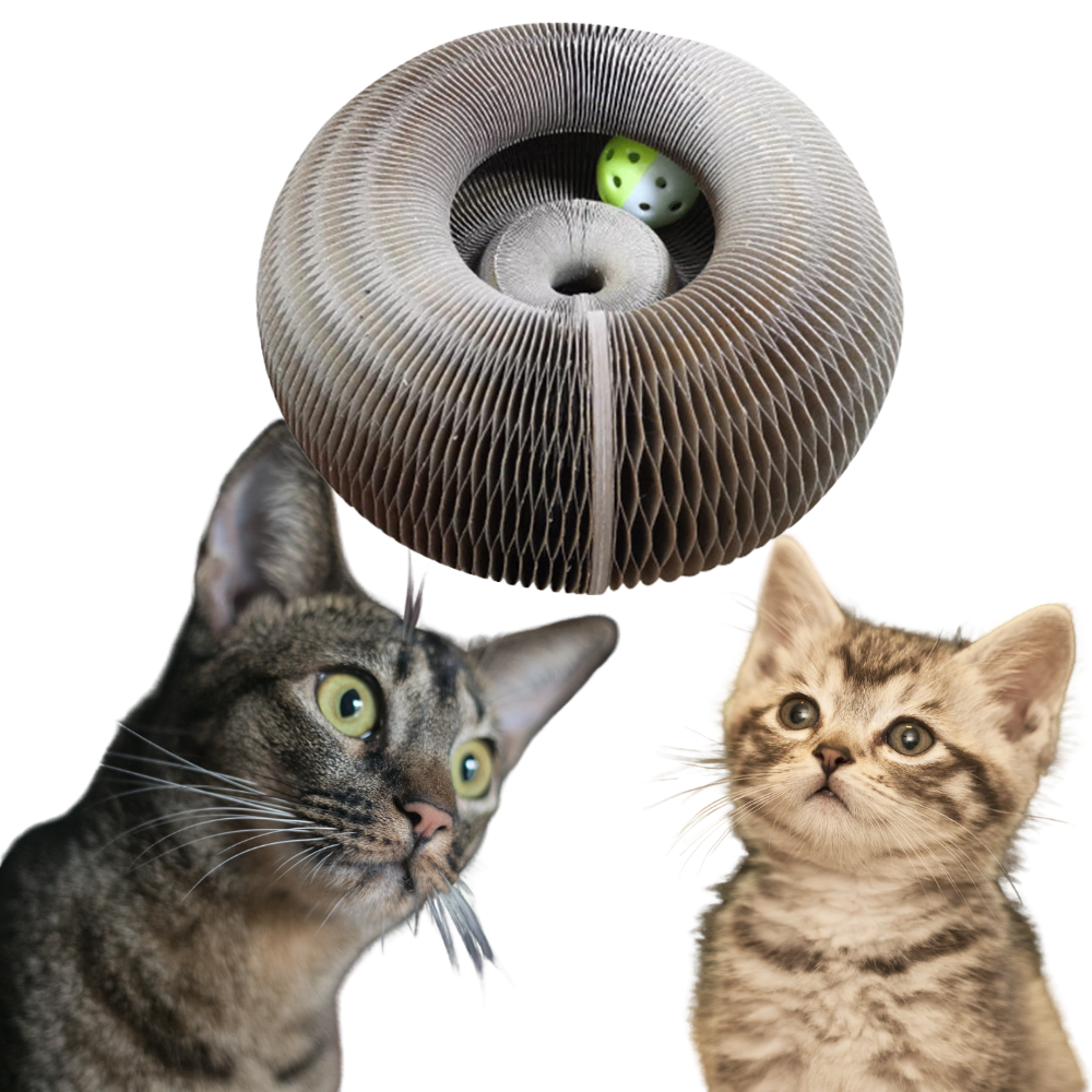 Klorebrett til katt