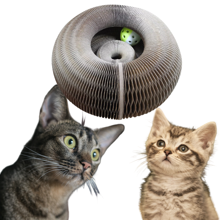 Klorebrett til katt