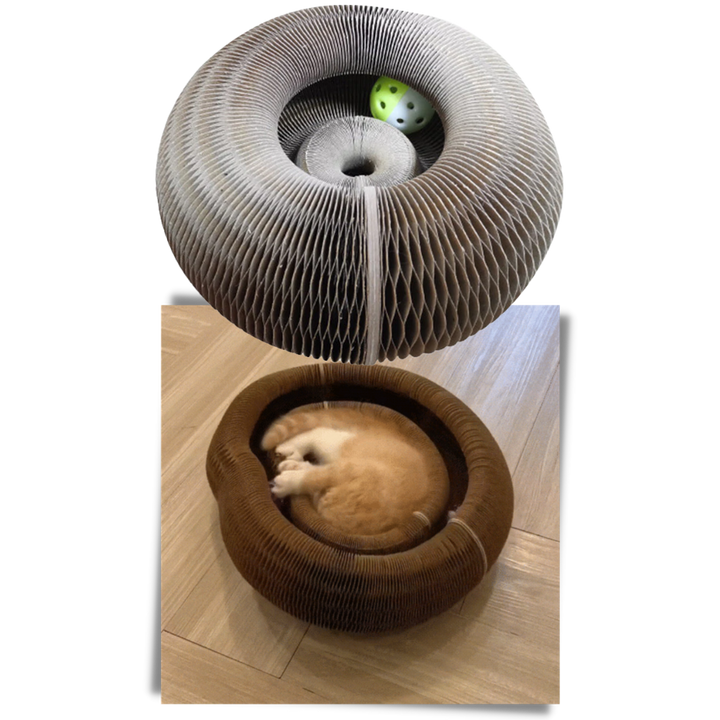 Klorebrett til katt