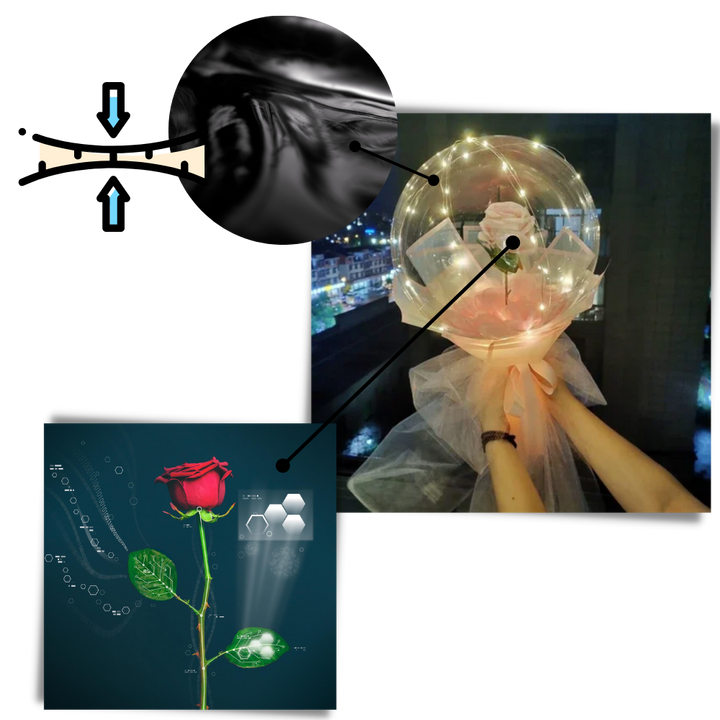 Vakker Rose LED-ballong