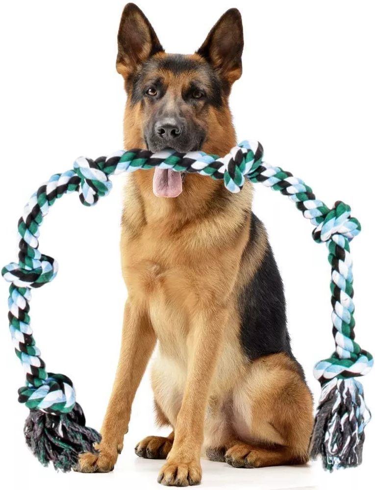 Skanto | Indestructible 6 Knute Hund Taust leke