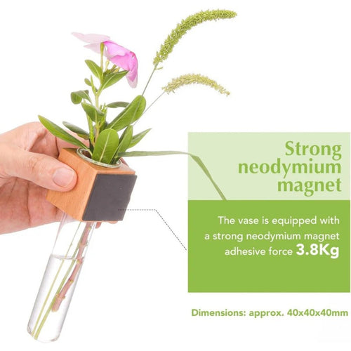 Skanto | Magnetisk Mini Vase – Tre & Glass Veggmontert Dekor for Blomster & Klipp